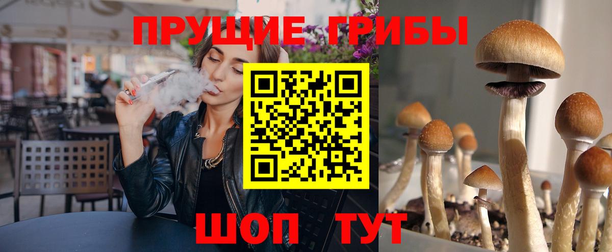 Костомукша  Псилоцибиновые грибы GOLDEN TEACHER  Вход с VPN 